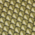 Dragon Scales Gold Dnd Button Up Shirt - adult sizing - Designs by Nathan - Fantasy Prints