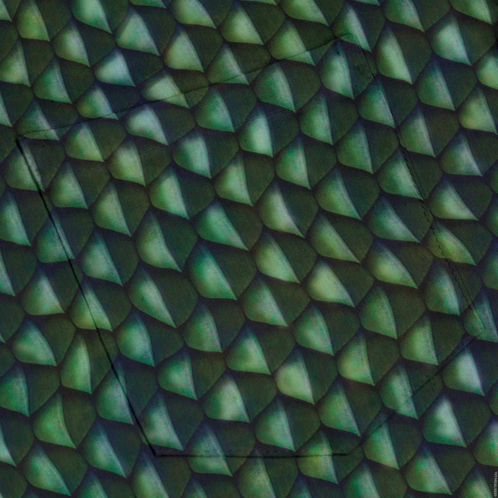 Green Dragon Scales Long Sleeve Button Up Shirt Geek Nerd adult sizing Designs by Nathan dnd & rpg print