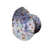 Snails and Mushrooms Botany Bucket Hat - M - Grey Stitching - -