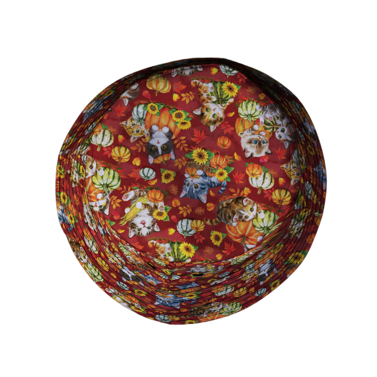 Autumn Pumpkin Kittens Bucket Hat Top View