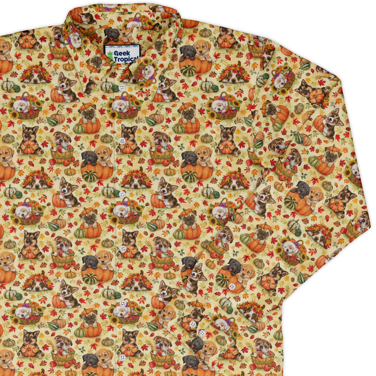 Autumn Pumpkin Puppies Long Sleeve Button Up Shirt cover