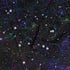 Beautiful Nebula Outer Space Long Sleeve Button Up Shirt Geek Nerd adult sizing FLOW DESC WRITING outer space & astronaut print