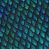 Blue Purple Dragon Scales Button Up Shirt Geek Nerd adult sizing Fantasy Prints