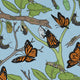 Butterfly Cycle Long Sleeve Button Up Shirt Geek Nerd adult sizing botany print Design by Julie Kitzes