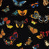 Butterfly Spring Button Up Shirt Geek Nerd 0925 adult sizing All Adult Button Up Shirts