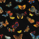 Butterfly Spring Long Sleeve Button Up Shirt Geek Nerd 0925 adult sizing All Adult Button Up Shirts