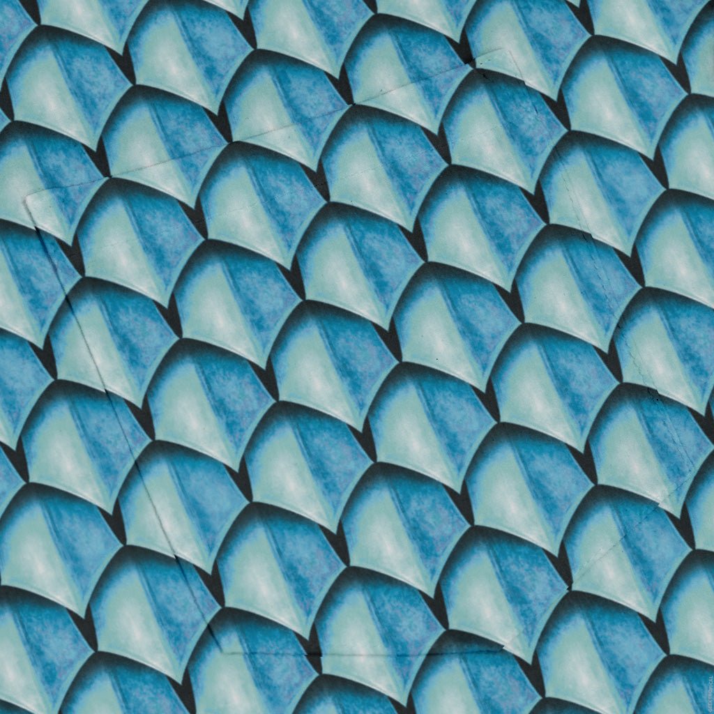 Dragon Scales Blue Dnd Long Sleeve Button Up Shirt Geek Nerd adult sizing Designs by Nathan Fantasy Prints