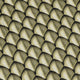 Dragon Scales Gold Dnd Long Sleeve Button Up Shirt Geek Nerd adult sizing Designs by Nathan Fantasy Prints