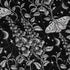 Episodic Moth Black White Night Long Sleeve Button Up Shirt Geek Nerd adult sizing Botany Print Design by Episodic