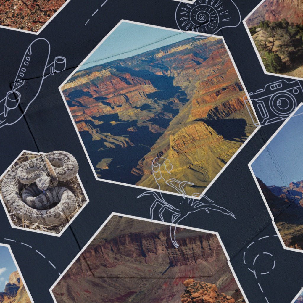 Grand Canyon Wonder Button Up Shirt Geek Nerd 0925 adult sizing All Adult Button Up Shirts