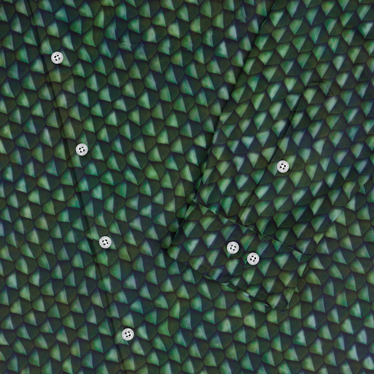 Green Dragon Scales Long Sleeve Button Up Shirt Geek Nerd adult sizing Designs by Nathan dnd & rpg print