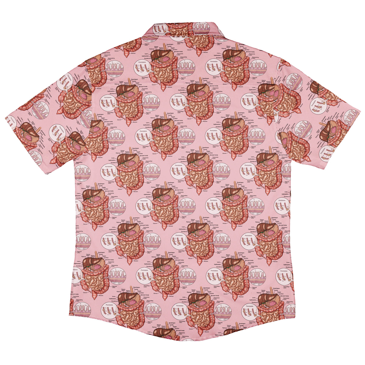 Gut Instincts Flesh Button Up Shirt Back