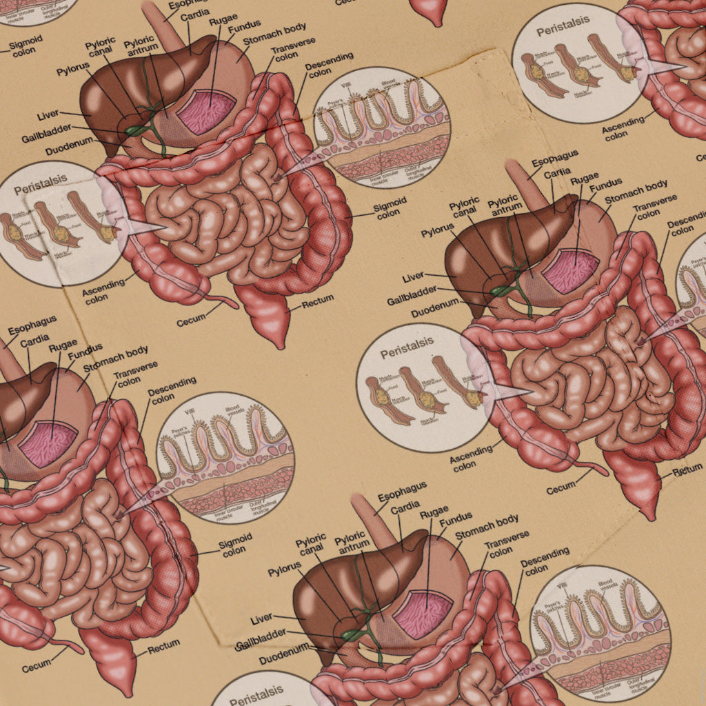 Gut Instincts Skin Button Up Shirt Pocket