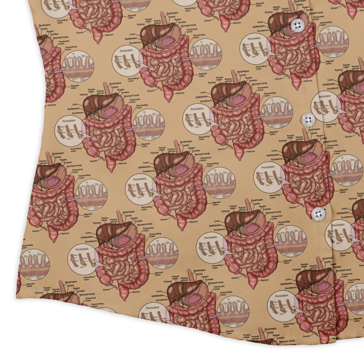 Gut Instincts Skin Curvy Button Up Shirt womens corner