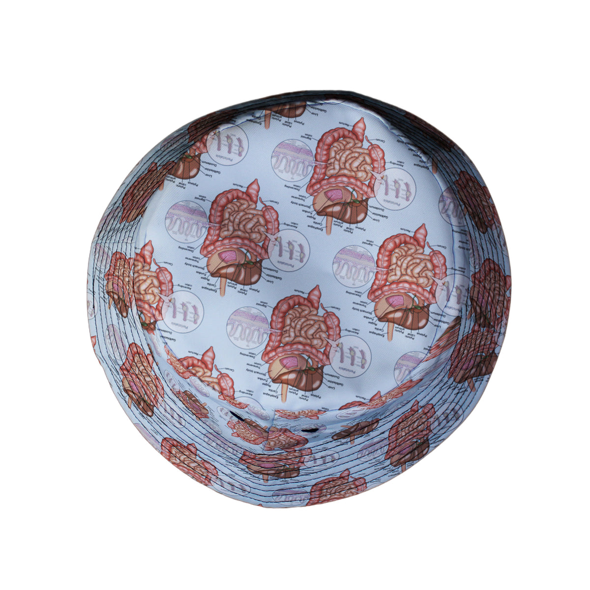 Gut Instincts Vein Bucket Hat Top View