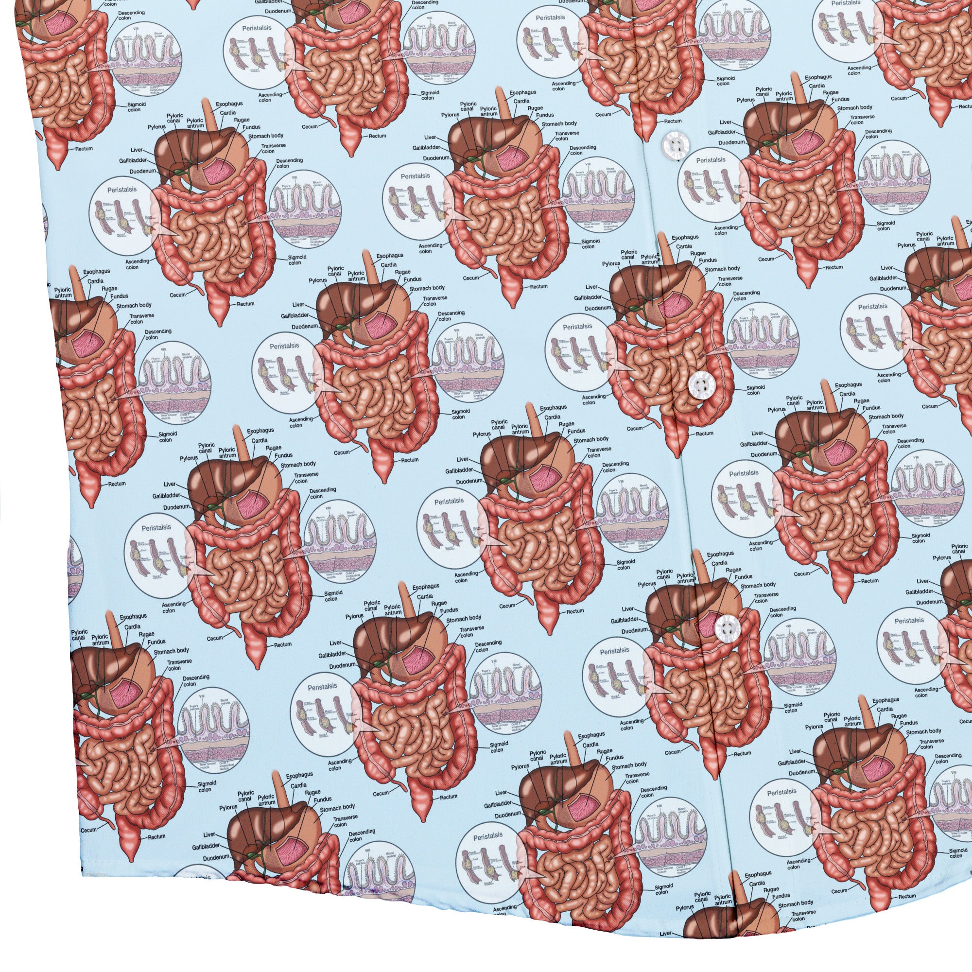 Gut Instincts Vein Button Up Shirt Bottom Corner
