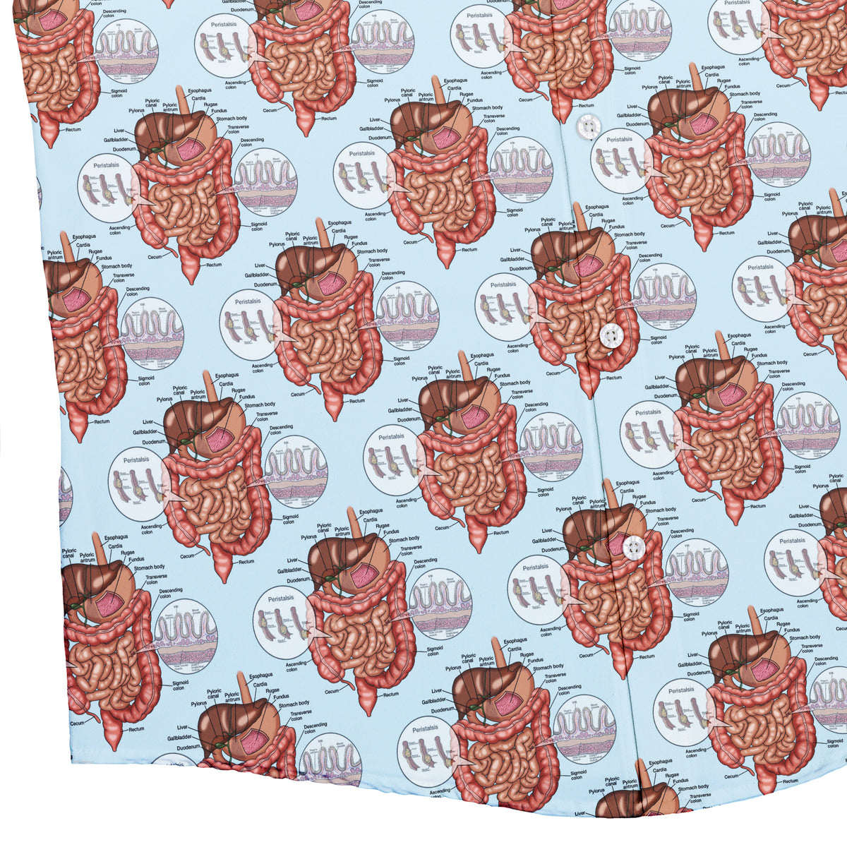 Gut Instincts Vein Button Up Shirt Bottom Corner