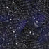 Math And Physics Space Long Sleeve Button Up Shirt Geek Nerd adult sizing FLOW DESC WRITING mathematics print