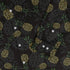 Pi Napple Black Long Sleeve Button Up Shirt 2