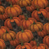 Pumpkins And Black Cats Long Sleeve Button Up Shirt pocket