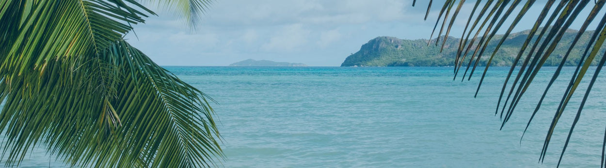 A view of the ocean and forest island with palm tree leaves in the foreground.
