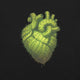 Cactus Heart T-Shirt Geek Nerd Botany Print Design by Tobe Fonseca FLOW DESC WRITING