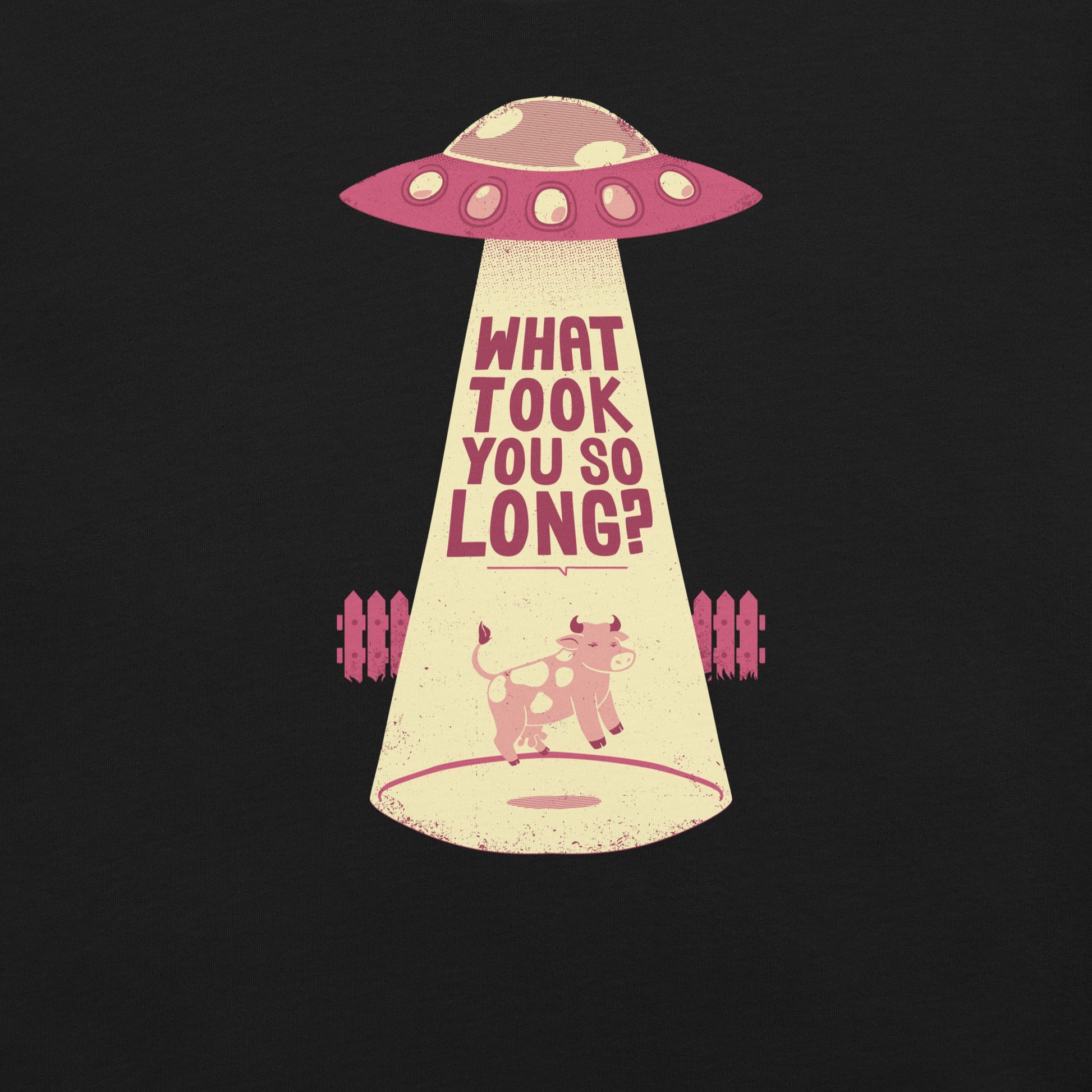 Why Did You Took So Long UFO T-Shirt 2