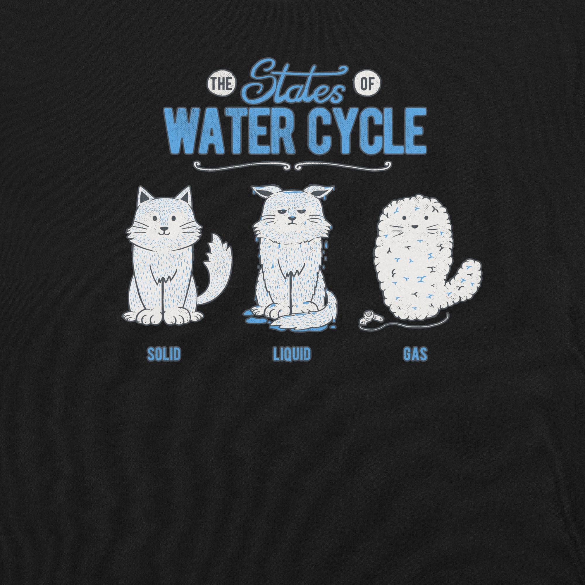 States of the Cat Water Cycle T-Shirt 2