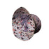 Cute Mushroom Fungi and Slime Orange Pink Video Game Bucket Hat - M - Black Stitching - -